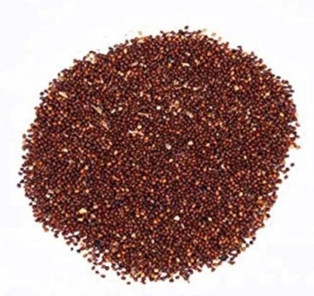 SAFRONI Beej Tulsi - Tulsi Manjari - Tulsi Seed - Shyama Seed