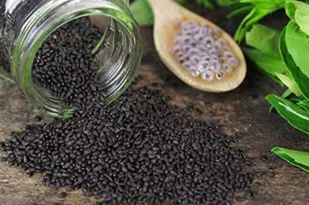 Aero Seeds Raw Basil Seeds, Sabja Seeds, Tukmariya Seeds Seed Seed