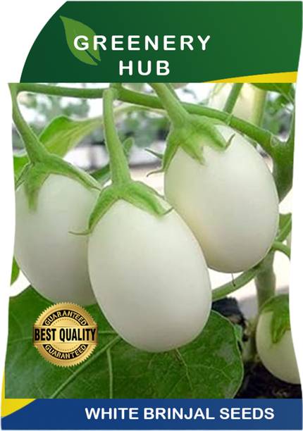 Greenery Hub Premium White Brinjal Seeds for a Crisp and Flavorful Harvest Seed