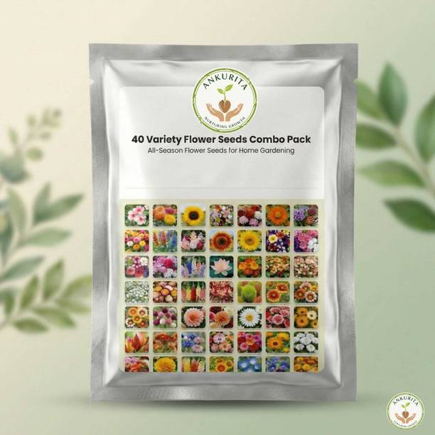ANKURITA All-Season 40 Hybrid Flower Seeds Mix | Colourful Bloom Pack | Easy to Grow Seed