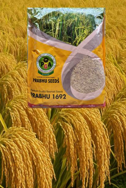 hyb 3kg Prabhu paddy 1692 yield 27-30 quintal/acre Seed