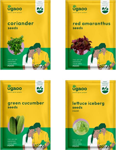 UGAOO Vegetable Seeds - Coriander, Red Amaranthus, Green Cucumber, Lettuce iceberg Seed