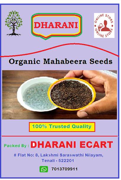 dharani ORGANIC MAHA BEERA SEEDS - MAHABEERA GINJALU - for joint & Knee pains - 250 g Seed