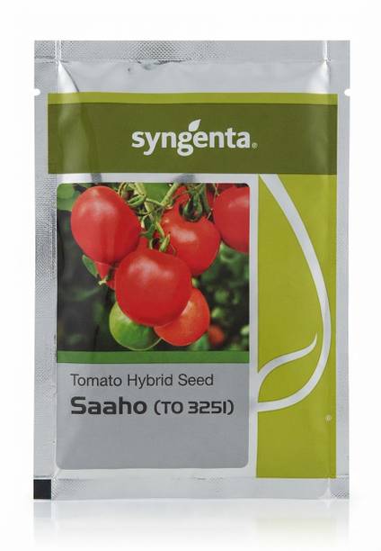 syngenta Syngenta Saaho Tomato Seeds Seed