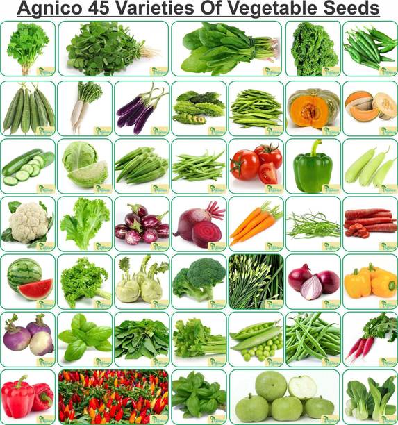 Agnico Agnico 45 Varieties of Vegetable Seeds Seed