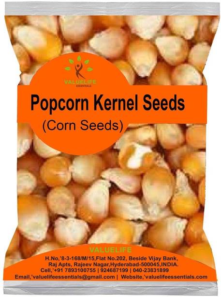 Value Life Popcorn Kernel Seeds 250g NA Popcorn