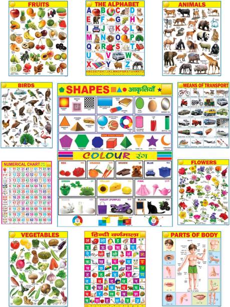 Early Learning Educational Charts for Kids | Learn about English Alphabet, Fruit, Vegetables, Animals, Birds, Part of Body, Hindi Vernmala, Transport, Numerical, Colour Shape & Flowers with Waterproof Picture Chart Fine Art Print