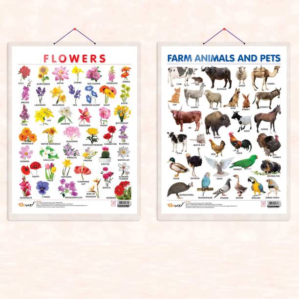 FLOWERS CHART HARD LAMINATED and FARM ANIMALS AND PETS CHART HARD LAMINATED | combo of 2 charts |Educational Petal-Pasture Essentials Paper Print