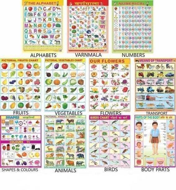 All in One Educational Charts for Kids | Learn about English Alphabet, Fruit, Vegetables, Animals, Birds, Part of Body, Hindi Vernmala, Transport, Numerical, Colour Shape & Flowers with Waterproof Picture Chart Paper Print