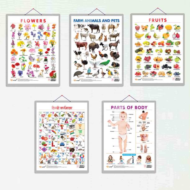 FRUITS CHART HARD LAMINATED, FLOWERS CHART HARD LAMINATED, FARM ANIMALS AND PETS CHART HARD LAMINATED, HINDI VARNMALA CHART HARD LAMINATED, and PARTS OF BODY CHART HARD LAMINATED | combo of 5 charts | Diverse Wisdom Chart Collection Paper Print