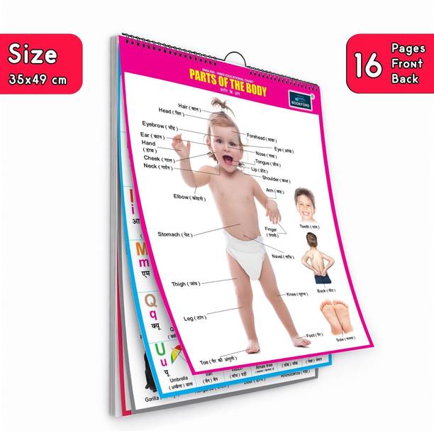 16 in 1 Parts of The Body Educational Chart For Kids -Children Spiral Wall Picture Chart ( Big Fonts and Realistic Pictures) Paper Print
