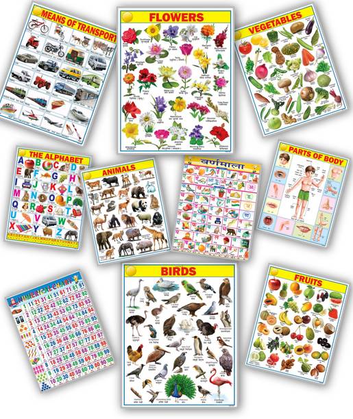 English & Hindi Educational Chart for Kids | 45×60cm | ABC'D Chart | Combo of 10 Charts | laimination paper chart | Non-Tearable and Waterproof | Perfect for Homeschooling, Kindergarten and Nursery Student Fine Art Print