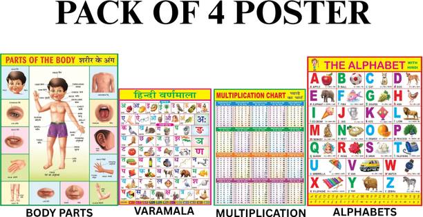 Combo of 4 Chart English Alphabet, Hindi Varnmala, Multiplication & Part of the Body Chart For Kids | 20x30Inch (51x76cm)| Laminated chart | Waterproof and Non tearable Wall Chart. Paper Print