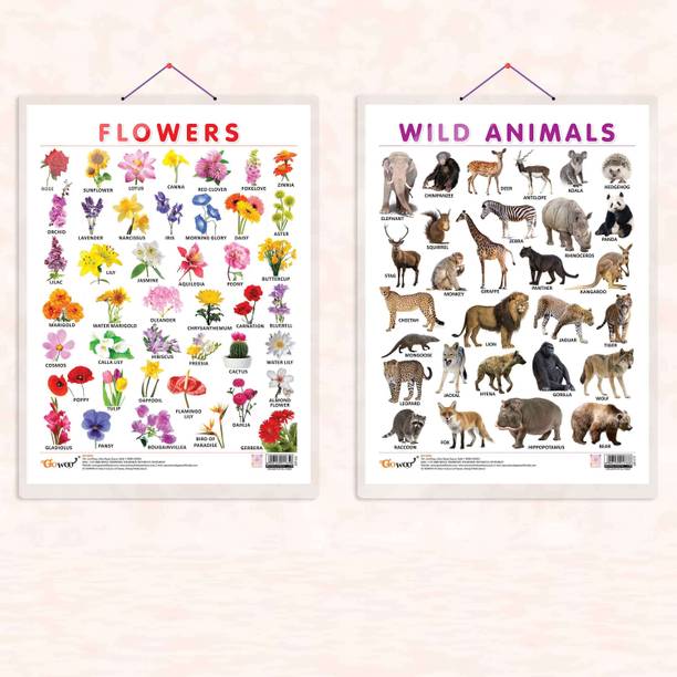 FLOWERS CHART HARD LAMINATED and WILD ANIMALS CHART HARD LAMINATED | combo of 2 charts | Flora and Fauna Symphony Paper Print