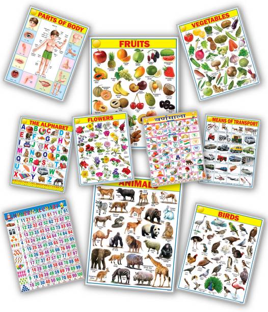 Children Educational Chart – Bright & Attractive Learning Chart Size 45x60cm Paper Print