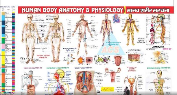 फ़ाइन आर्ट प्रिंट