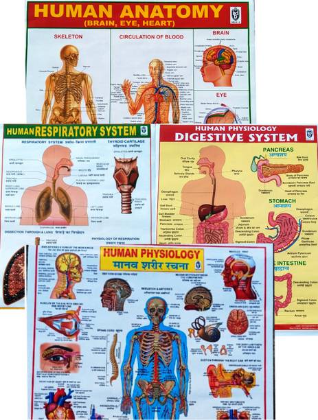 फोटोग्राफिक पेपर