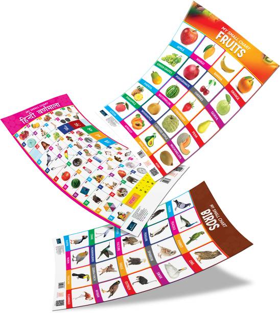Bookford Publications My small chart Birds, Fruits & Hindi Varnamala (Set of 3) Paper Print