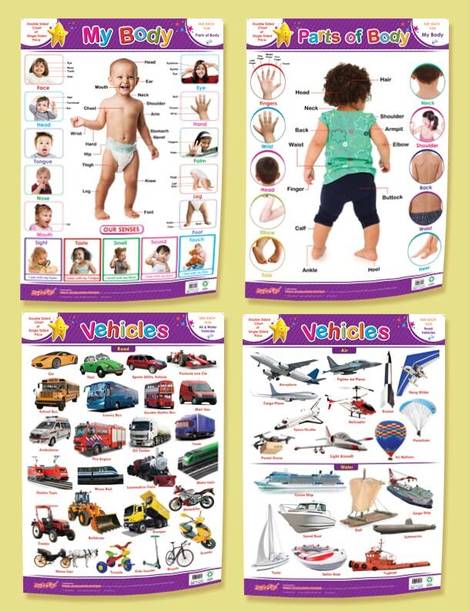 2 in 1 Preschool Double Sided Wall Charts-My Body / Vehicles Paper Print