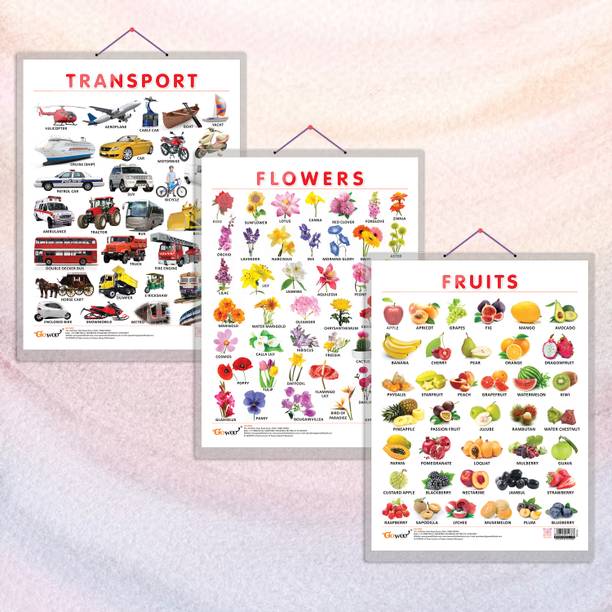 FRUITS CHART HARD LAMINATED, FLOWERS CHART HARD LAMINATED, and TRANSPORT CHART HARD LAMINATED | combo of 3 charts | Engaging Charts for Nature and Travel Paper Print
