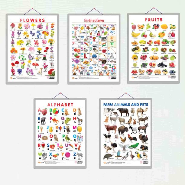 ALPHABET CHART HARD LAMINATED, FRUITS CHART HARD LAMINATED, FLOWERS CHART HARD LAMINATED, FARM ANIMALS AND PETS CHART HARD LAMINATED, and HINDI VARNMALA CHART HARD LAMINATED | combo of 5 charts | Lively Learning Charts Collection Paper Print