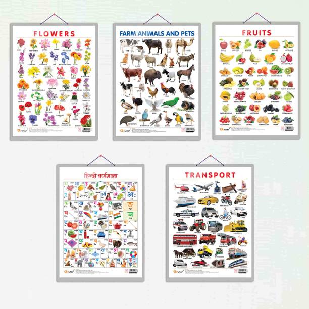 FRUITS CHART HARD LAMINATED, FLOWERS CHART HARD LAMINATED, FARM ANIMALS AND PETS CHART HARD LAMINATED, HINDI VARNMALA CHART HARD LAMINATED, and TRANSPORT CHART HARD LAMINATED | combo of 5 charts | Mastering the Basics Chart Kit Paper Print