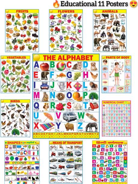 All in One Educational Charts for Kids with Colourful Pictures for Children Fine Art Print
