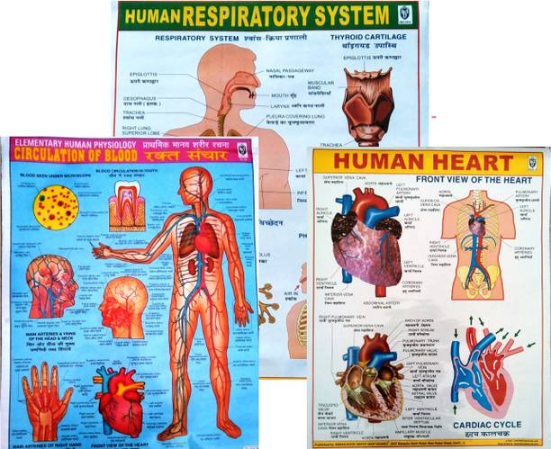 फोटोग्राफिक पेपर