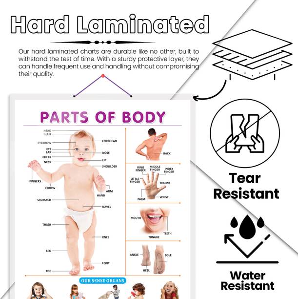 FLOWERS CHART HARD LAMINATED, FARM ANIMALS AND PETS CHART HARD LAMINATED, and PARTS OF BODY CHART HARD LAMINATED | combo of 3 charts | Exploring Nature, Farmyard, and Body Parts Paper Print