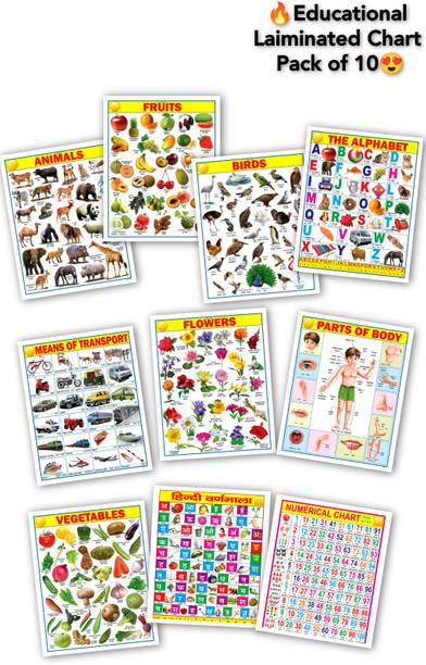 Early Learning Educational Chart for Kids | Learn About English Alphabet, Fruit, Vegetables, Animals, Birds, Part of Body, Hindi Vernmala, Transport, Numerical & Flower with Colourful Picture for Children Fine Art Print