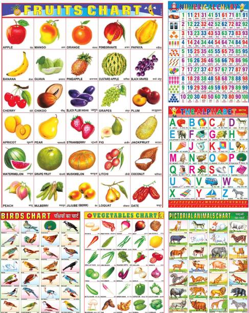 Kids Learning Chart Number, Animals, Fruits, Vegetables, Alphabet & Birds Laiminate Chart For kids (6 Chart) 45×60cm Mega size Fine Art Print