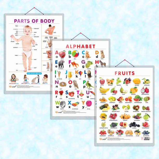 ALPHABET CHART HARD LAMINATED, FRUITS CHART HARD LAMINATED, and PARTS OF BODY CHART HARD LAMINATED | combo of 3 charts | Language, Nutrition, and Body Awareness Trio Paper Print