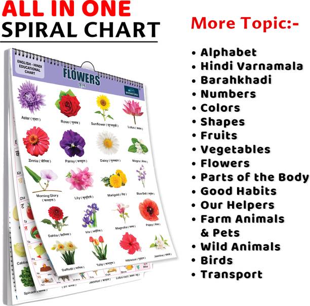 16 in 1 Educational Flower Chart for Kids Big Font Spiral Wall Chart for Early Learning Paper Print