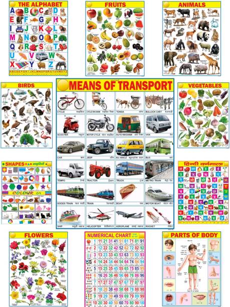 All in One Educational Picture Charts for Kids | Learn about English Alphabet, Fruit, Vegetables, Animals, Birds, Part of Body, Hindi Vernmala, Transport, Numerical, Colour Shape & Flowers with Waterproof Picture Chart Fine Art Print