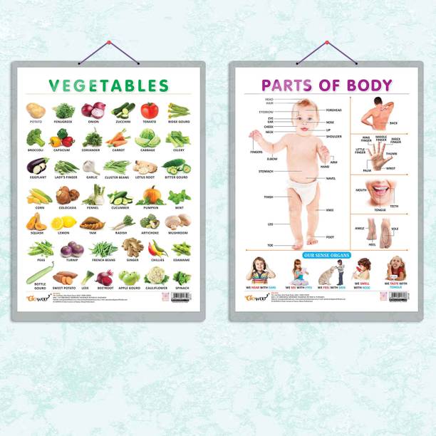 PARTS OF BODY CHART HARD LAMINATED and VEGETABLE CHART HARD LAMINATED | combo of 2 charts | Body and Veggie Exploration Duo Paper Print