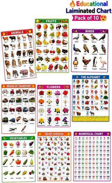 Learning SmartBuy Educational Wall Chart Combo for Kids Multicolor Early Learning Charts - ABC Alphabet, Numbers, Colours & Shapes, Means of Transport, Hindi Varnamala, Parts of Body, Fruits, Vegetables, Animals, Birds, Flowers Poster Set Fine Art Print