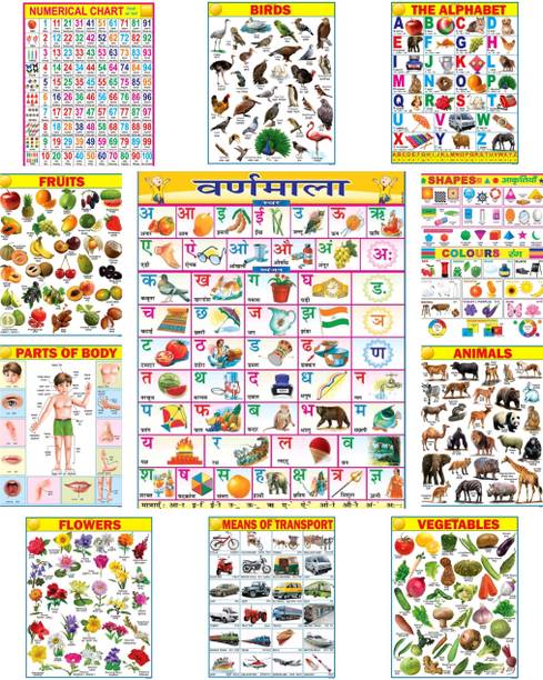 Kid's Educational Learning Poster set for Kids | Wall Chart | 45cm×60cm (Extra Large Size to attract Kids) | Combo of 11 Charts | Non-Tearable and Waterproof | Perfect for Homeschooling, Kindergarten and Nursery Student Fine Art Print