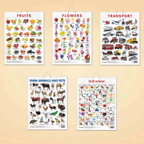 FRUITS CHART GLOSS LAMINATED, FLOWERS CHART GLOSS LAMINATED, FARM ANIMALS AND PETS CHART GLOSS LAMINATED, HINDI VARNMALA CHART GLOSS LAMINATED, and TRANSPORT CHART GLOSS LAMINATED | combo of 5 charts | Vibrant Visual Learning Tools. Paper Print