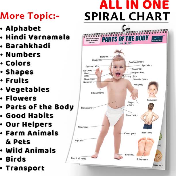 16 in 1 Human Body Parts Learning Chart for Kids Educational Wall Chart with Big Fonts and Realistic Images Paper Print