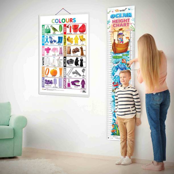 Colours and OCEAN HEIGHT CHART | Set of 2 chart |Engaging Combo of Learning Chart & Height Chart for kids Paper Print