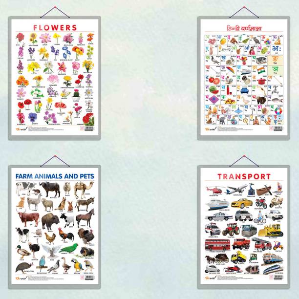 FLOWERS CHART HARD LAMINATED, FARM ANIMALS AND PETS CHART HARD LAMINATED, HINDI VARNMALA CHART HARD LAMINATED, and TRANSPORT CHART HARD LAMINATED | combo of 4 charts |Durable Charts for Multifarious Learning Paper Print