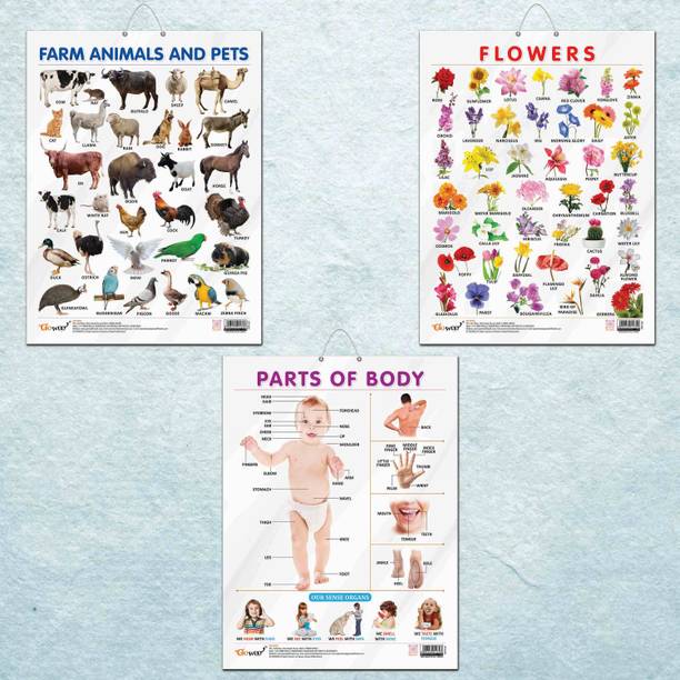 FLOWERS CHART GLOSS LAMINATED, FARM ANIMALS AND PETS CHART GLOSS LAMINATED, and PARTS OF BODY CHART GLOSS LAMINATED | combo of 3 charts |Blossoms and Creatures: Exploring Nature and the Human Form Paper Print