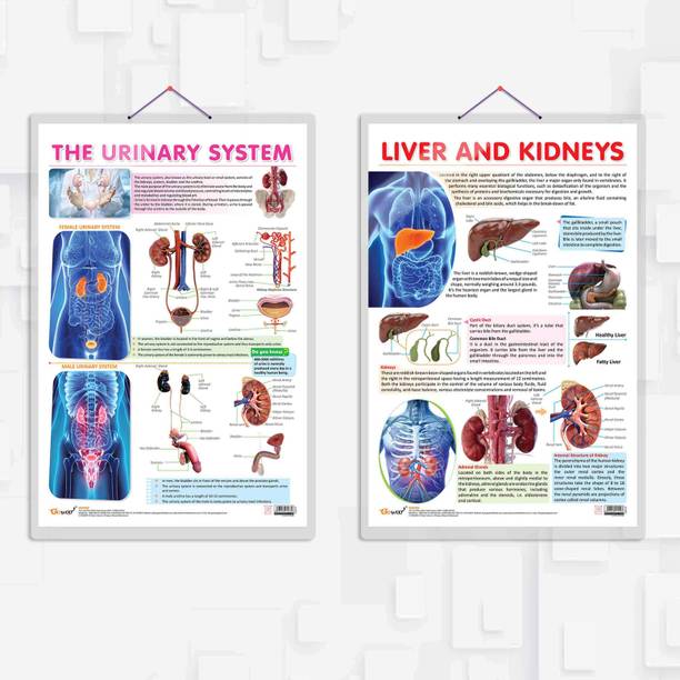 पेपर प्रिंट