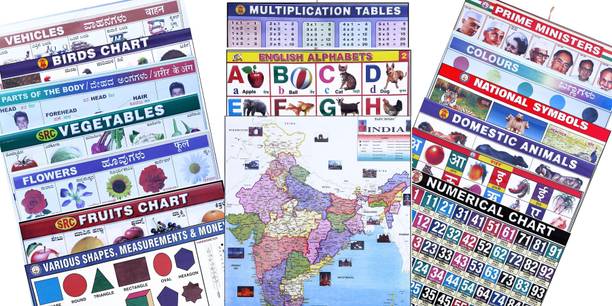 All Hanging Charts Pack of-16 Paper Print