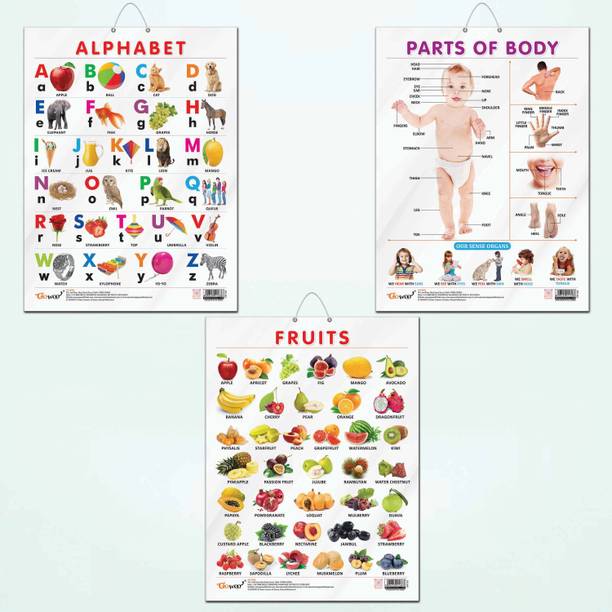 ALPHABET CHART GLOSS LAMINATED, FRUITS CHART GLOSS LAMINATED, and PARTS OF BODY CHART GLOSS LAMINATED | combo of 3 charts |'Discover, Learn, Grow: Trio of Glossy Learning Charts Paper Print