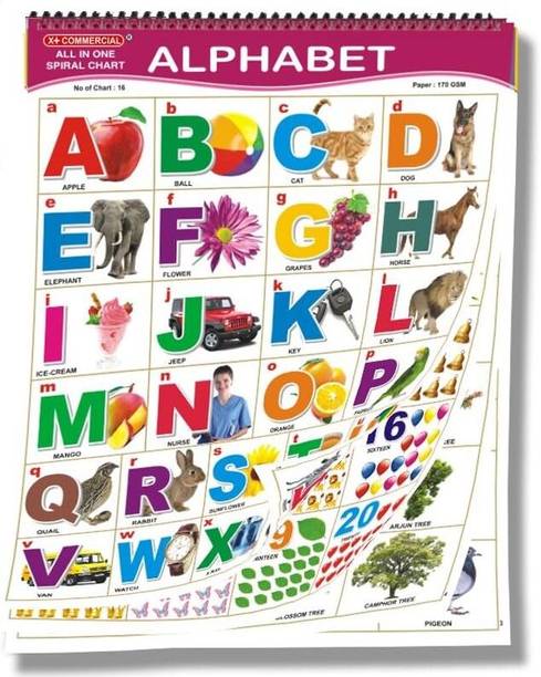 English Chart For Kids (16 Charts ) 37 x 48 cm - Children Spiral Wall Picture Chart - Multicolour Wall Chart Paper Print
