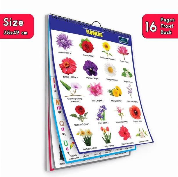 16 in 1 Flower Educational Chart For Kids -Children Spiral Wall Picture Chart with Big Fonts and Realistic Pictures Paper Print