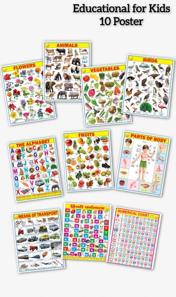 Educational Charts Set for Kids | 45cm×60cm (Extra Large Size to attract Kids) | Combo of 10 Charts | Non-Tearable and Waterproof | Perfect for Homeschooling, Kindergarten and Nursery Student Fine Art Print