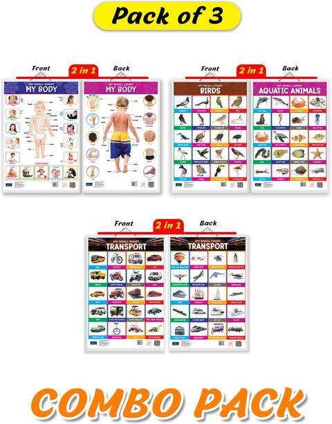 My Small Chart Set of 3 Birds My Body and Transport Educational Learning Charts Paper Print