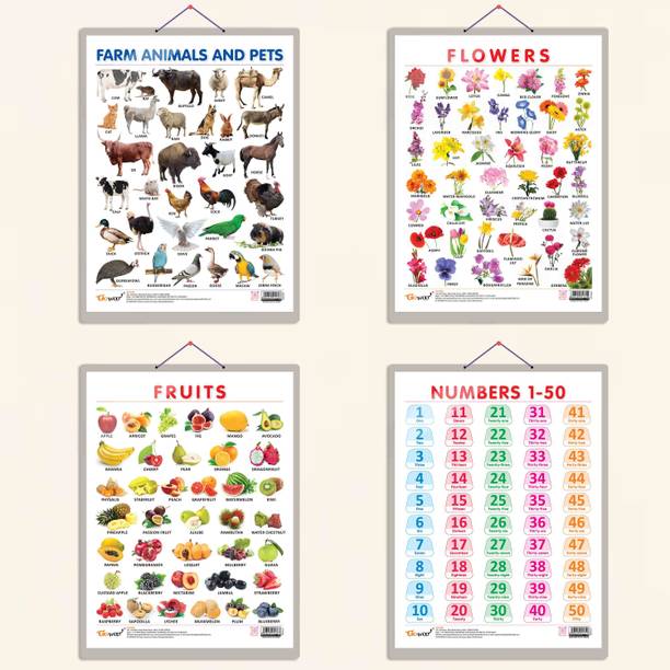 FRUITS CHART HARD LAMINATED, FLOWERS CHART HARD LAMINATED, FARM ANIMALS AND PETS CHART HARD LAMINATED, and NUMBER 1-50 CHART HARD LAMINATED | combo of 4 charts | Whirlwind of Learning Colors Paper Print